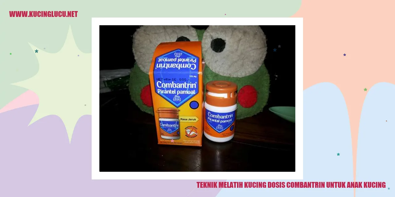 Gambar Kucing