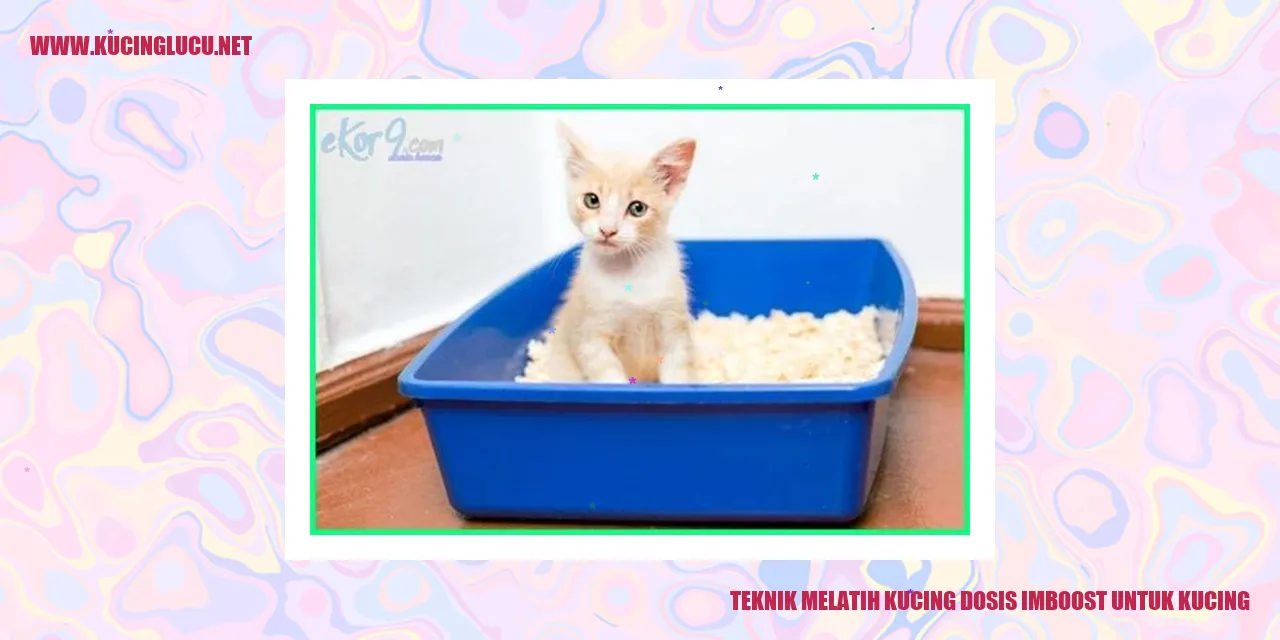 Teknik Melatih Kucing dosis imboost untuk kucing