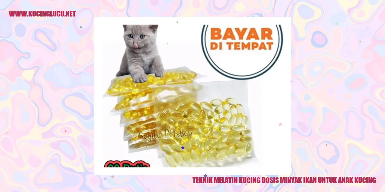 Teknik Melatih Kucing