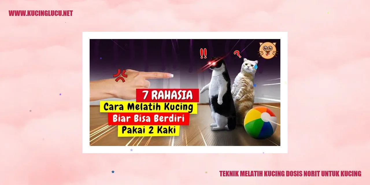 Gambar Kucing yang Sedang Makan