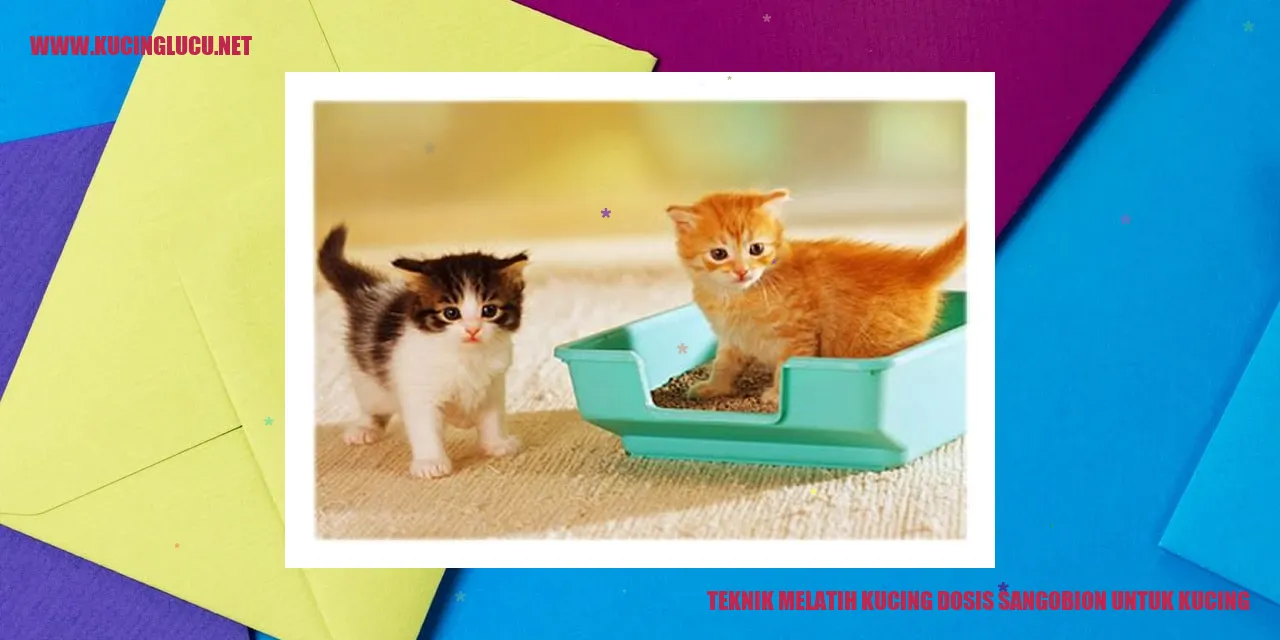 Melatih Kucing