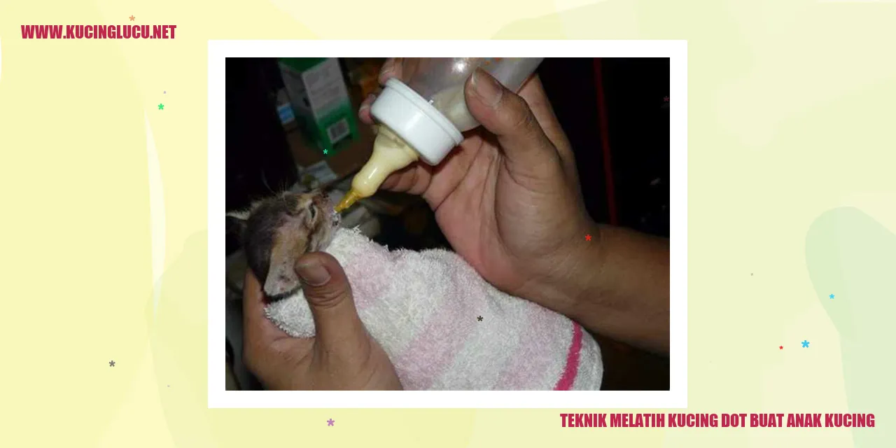 Teknik Melatih Kucing Dot Buat Anak Kucing