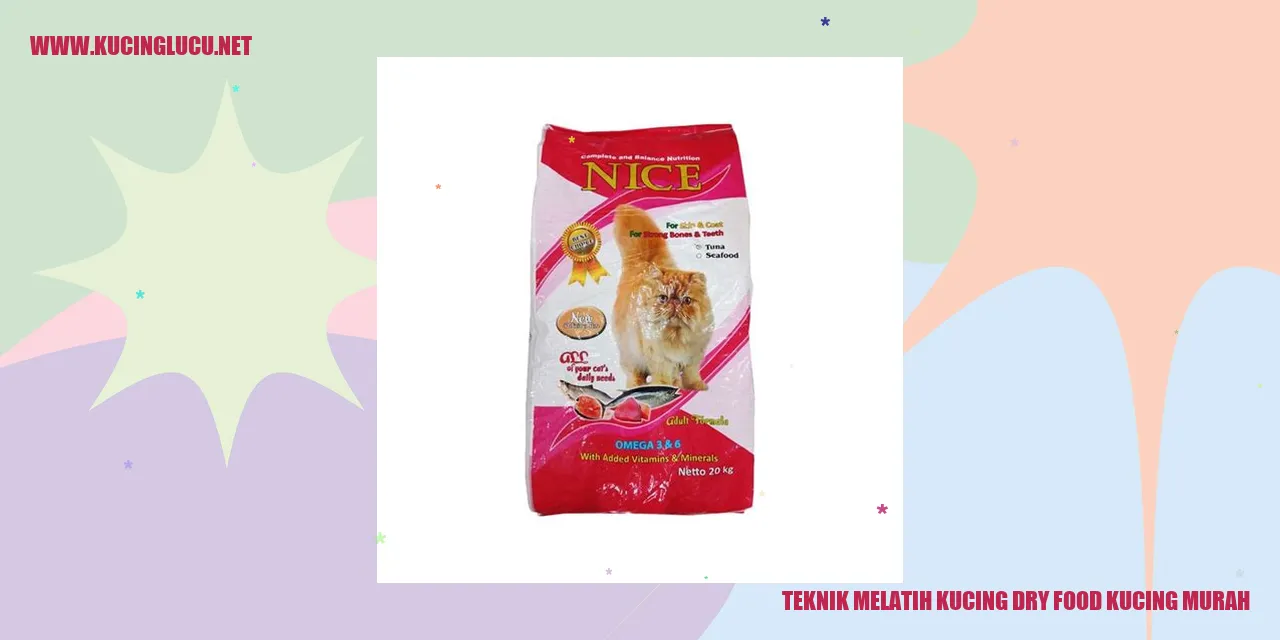 Teknik Melatih Kucing Dry Food Kucing Murah