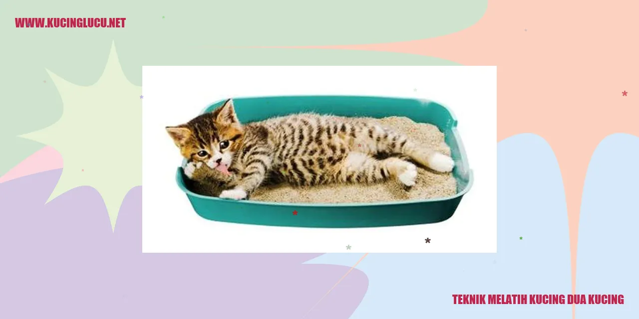 Gambar melatih kucing