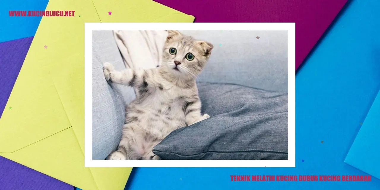 Ilustrasi Kucing Berdarah