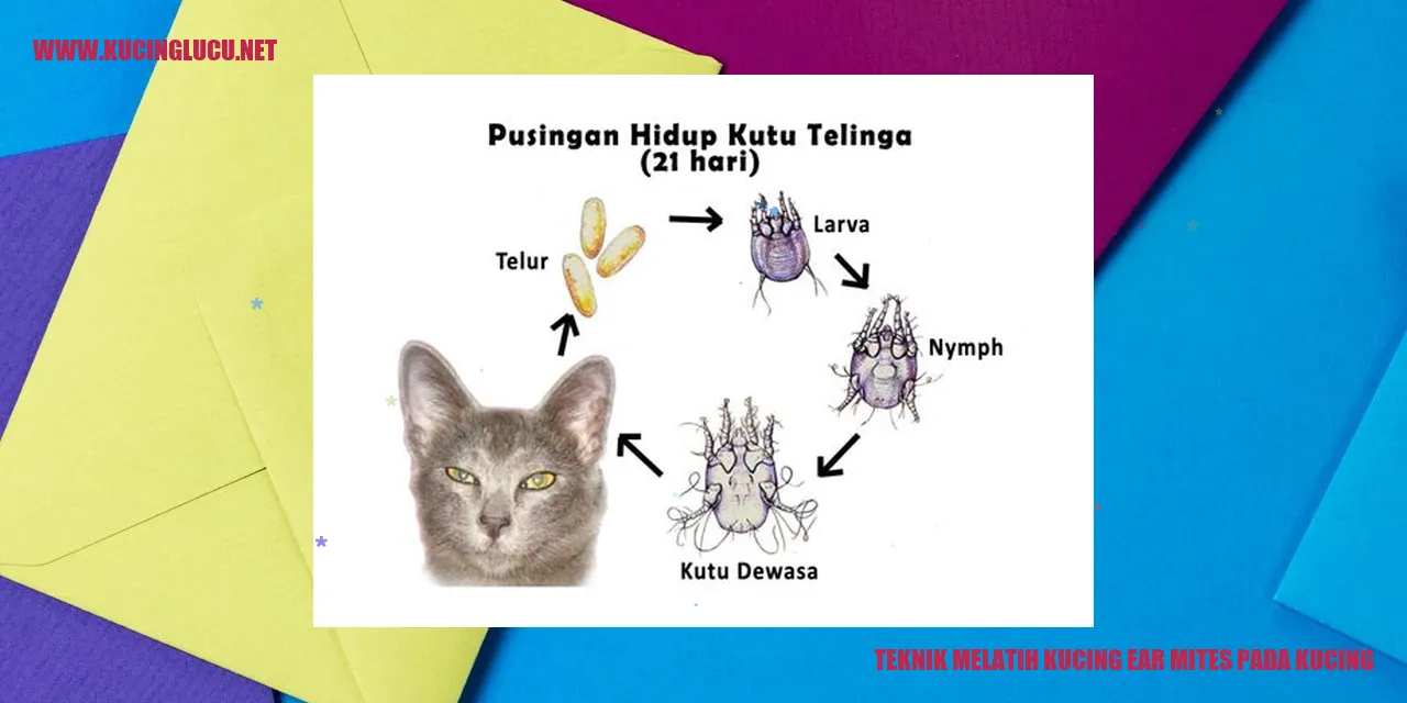 Gambar kucing mengidap ear mites