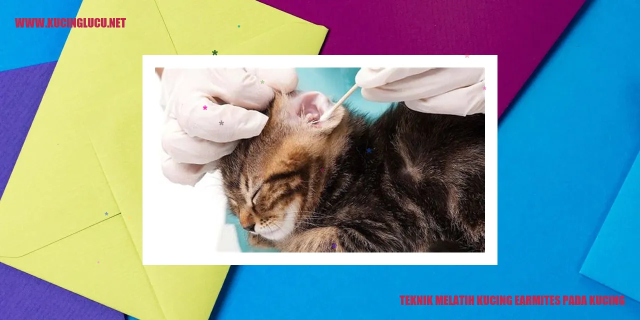 Gambar Kucing