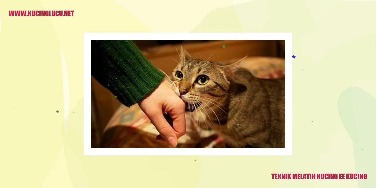 Teknik Melatih Kucing