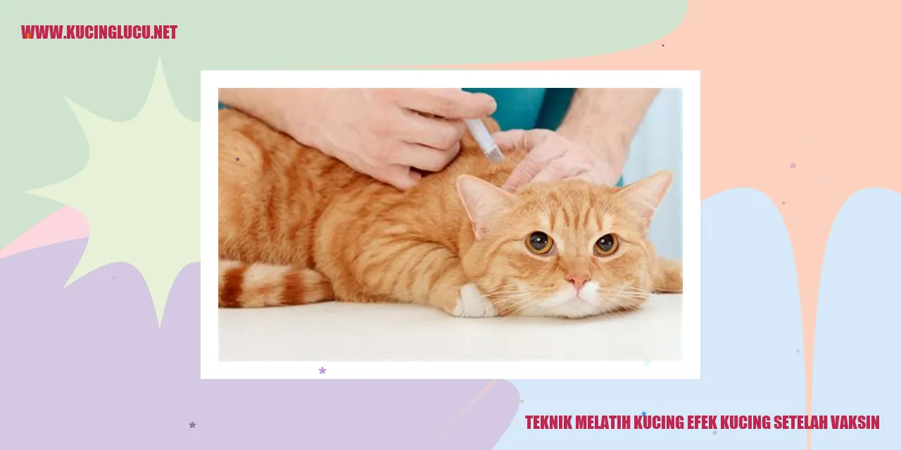 Efek Kucing Setelah Vaksin