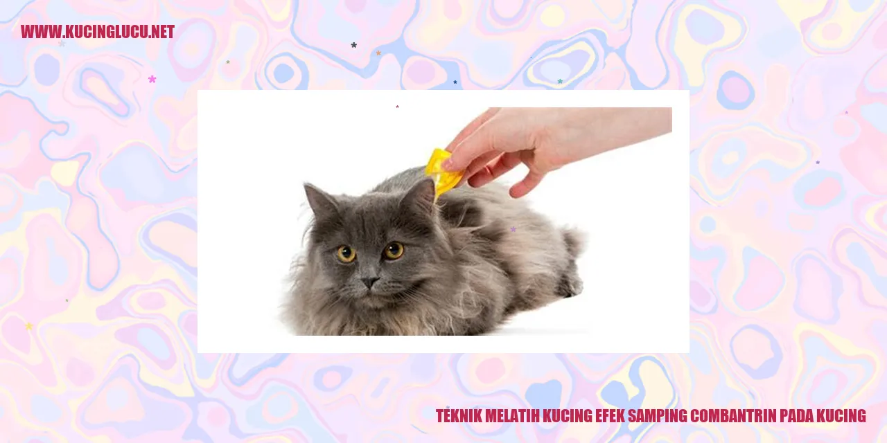 Gambar kucing