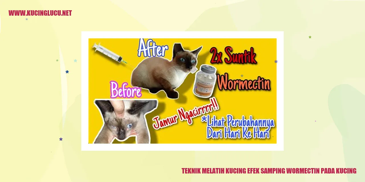 Efek Samping Wormectin pada Kucing