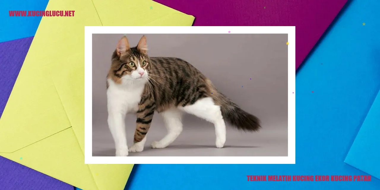 Ilustrasi kucing dengan ekor patah