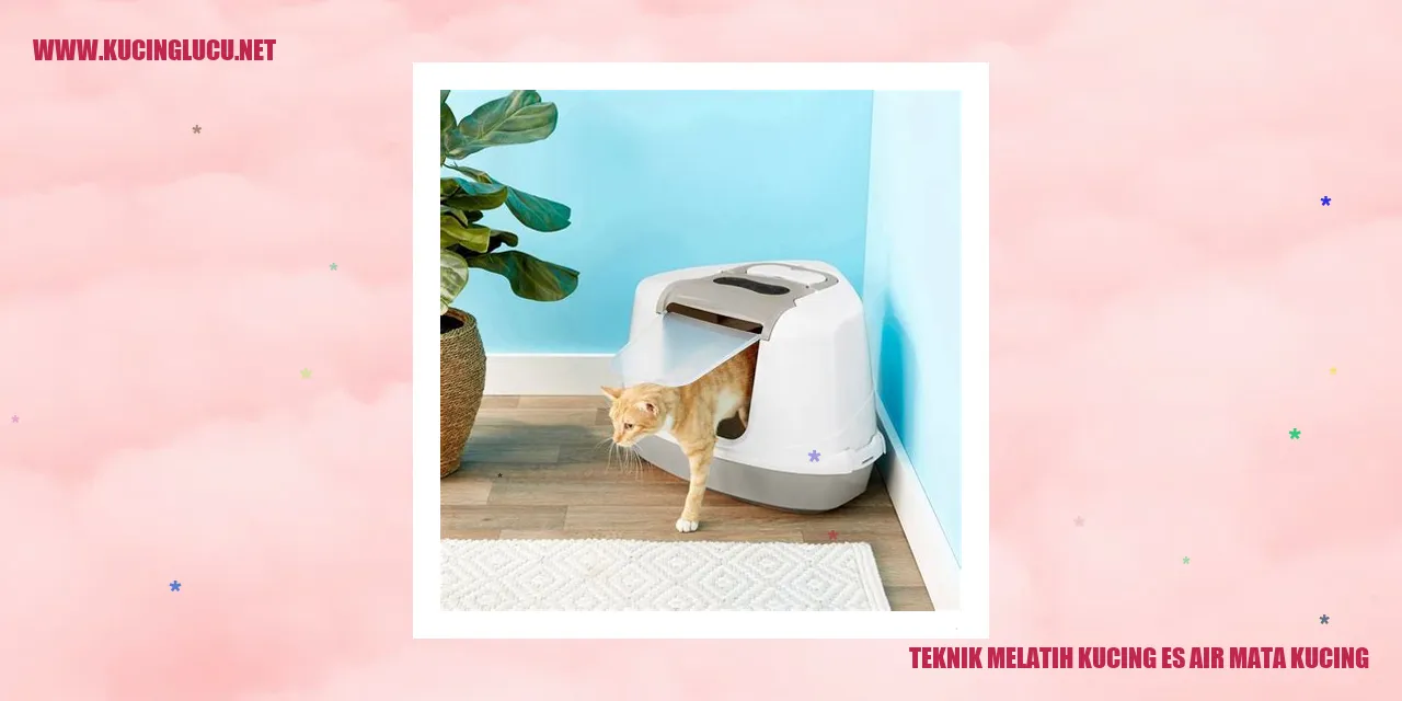 Melatih Kucing