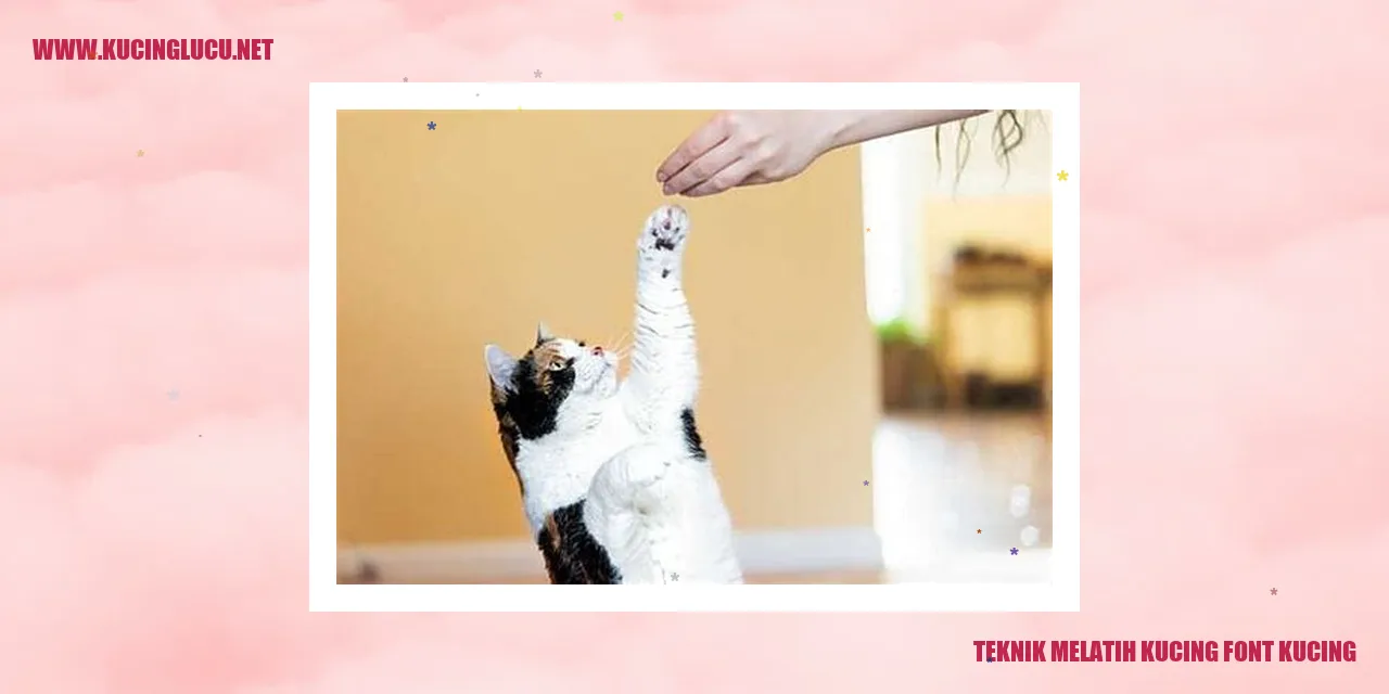 Kucing Lucu