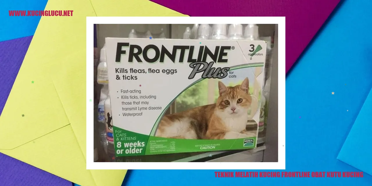 Gambar Kucing yang sedang diajari