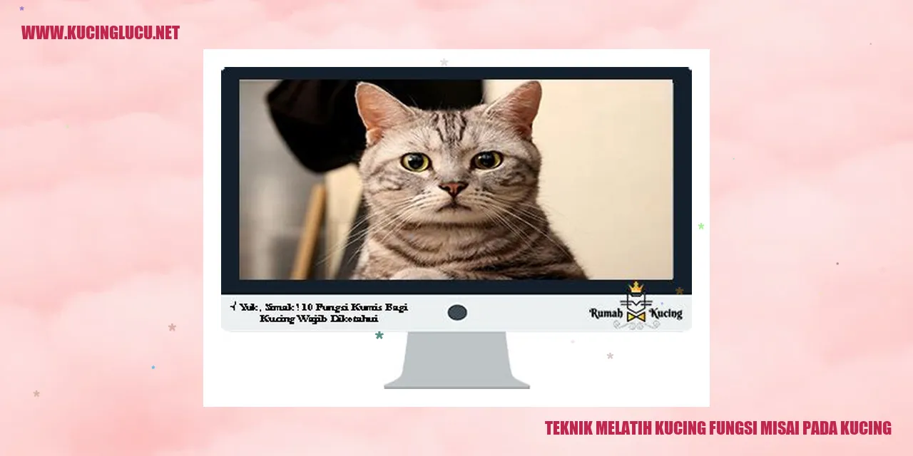 Gambar Kucing dengan Misai