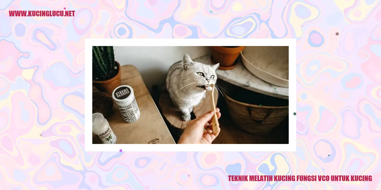 Kucing yang Dilatih dengan VCO
