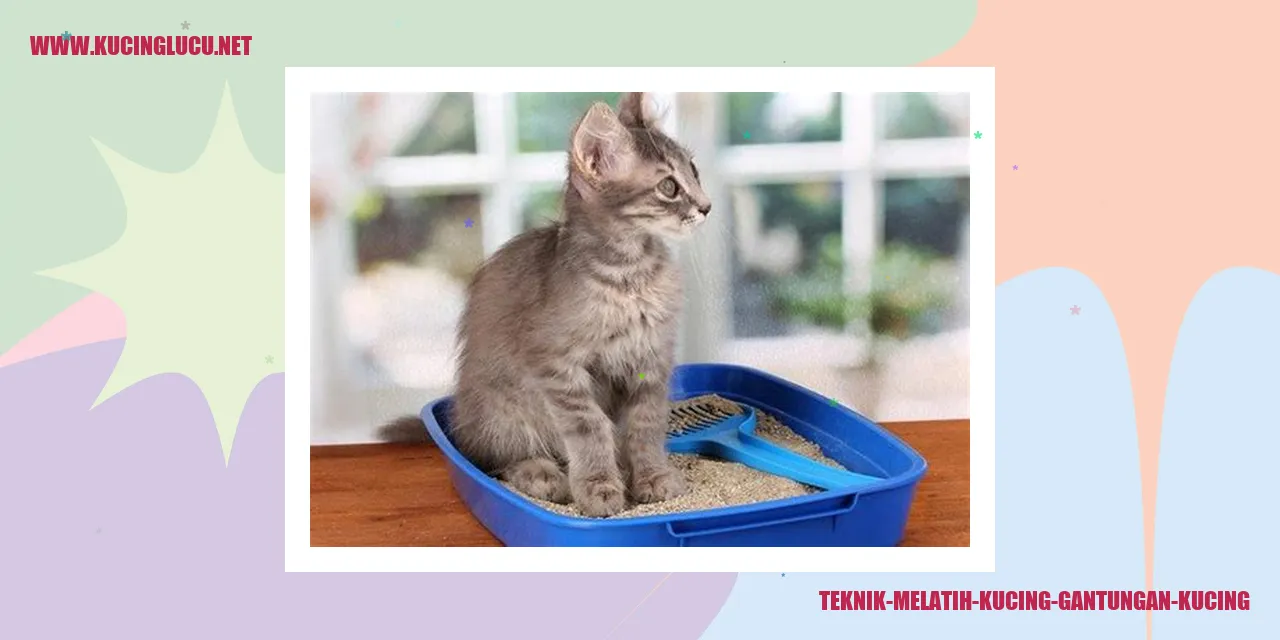Ilustrasi mengenai cara melatih kucing menjadi gantungan kucing