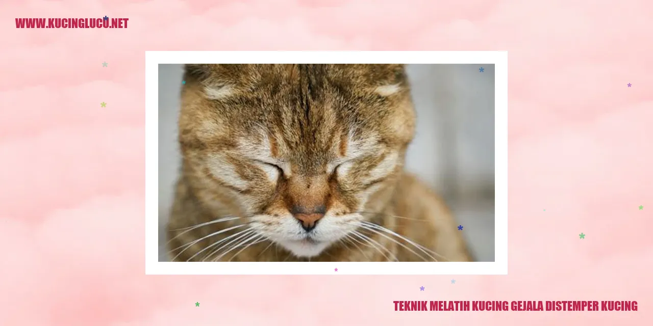 Gambar Kucing
