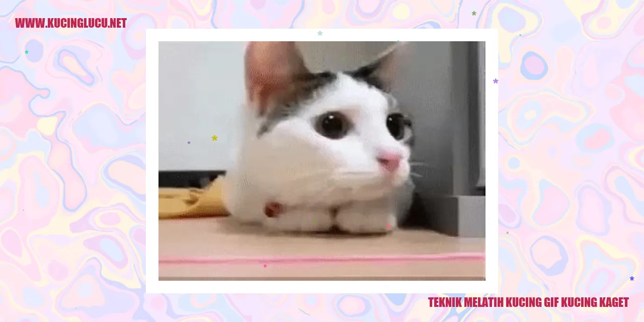 Trik Melatih Kucing