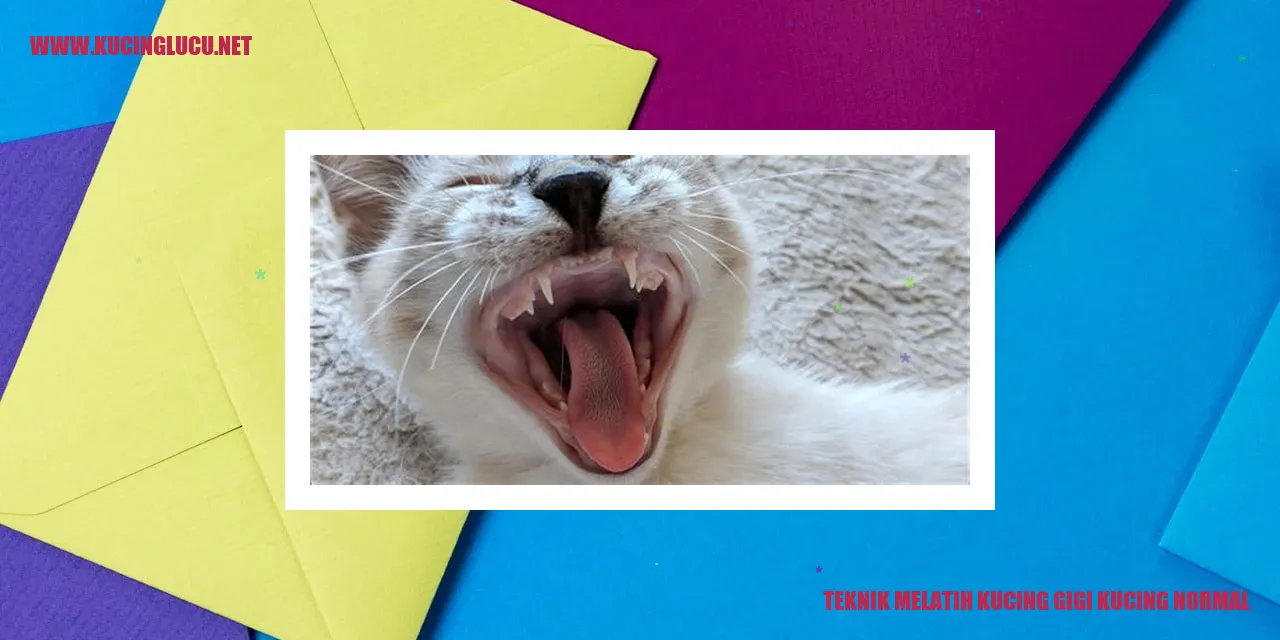 Teknik Melatih Kucing Gigi Kucing Normal
