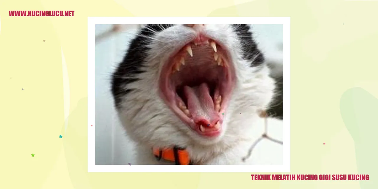 Teknik Melatih Kucing Gigi Susu Kucing