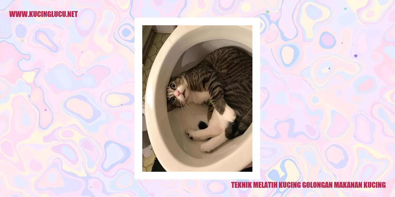 Teknik Melatih Kucing golongan makanan kucing