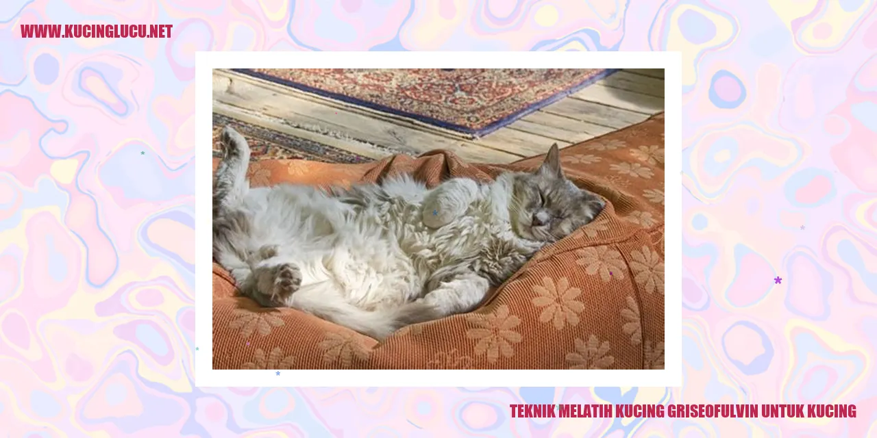 Teknik Melatih Kucing griseofulvin untuk kucing