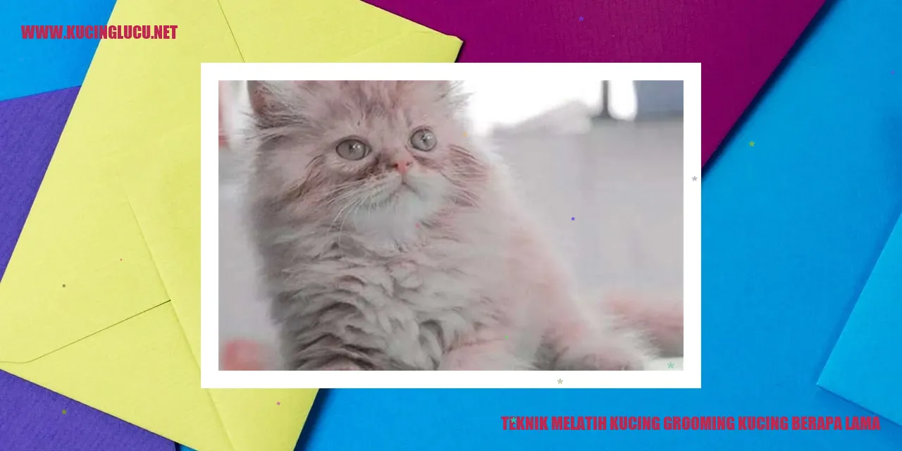 Teknik Melatih Kucing Grooming