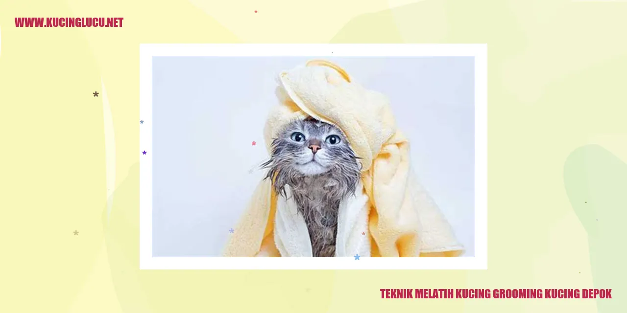 Teknik Melatih Kucing grooming kucing depok