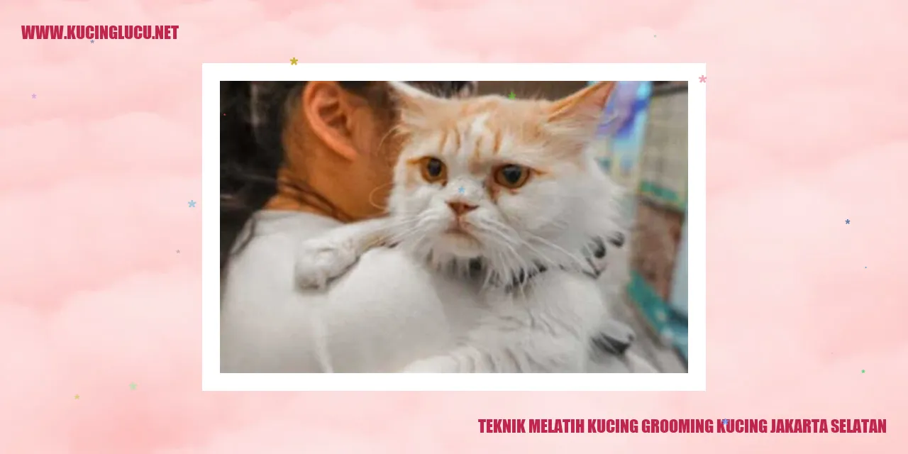 Melatih Kucing Grooming di Jakarta Selatan