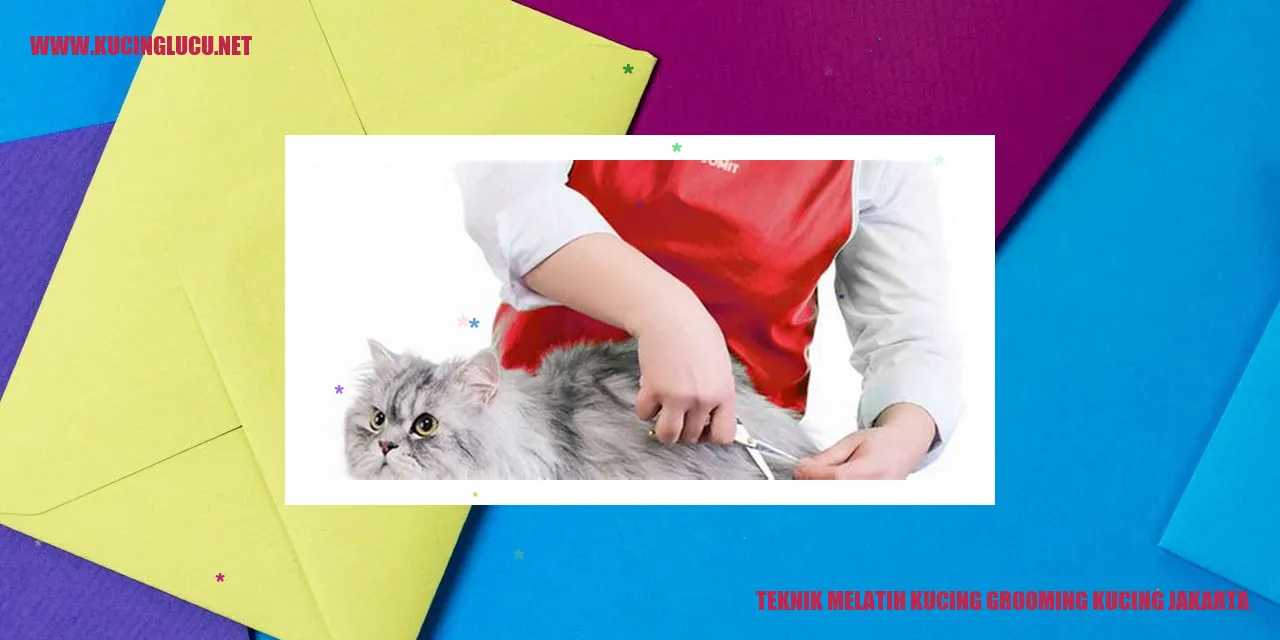 gambar melatih kucing agar siap untuk grooming