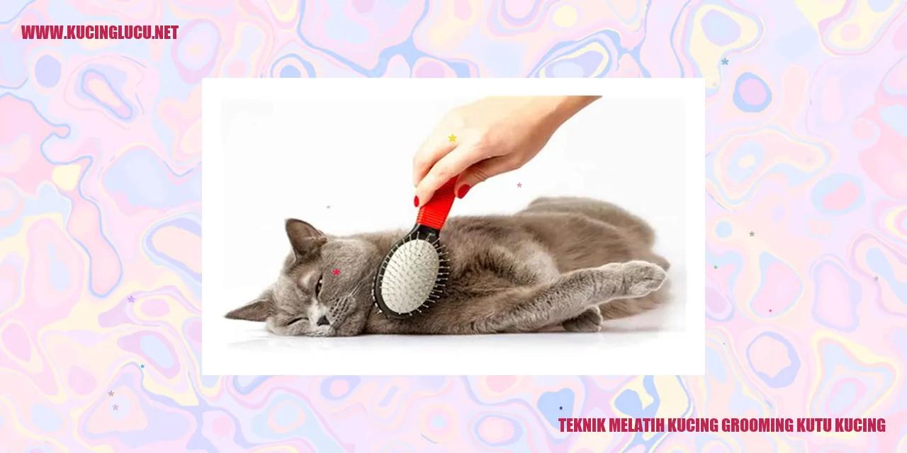 gambar grooming kucing