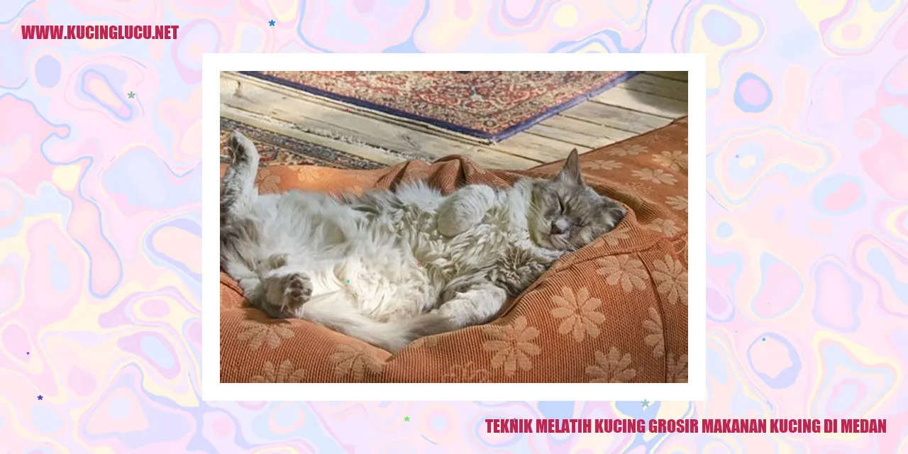 Gambar kucing
