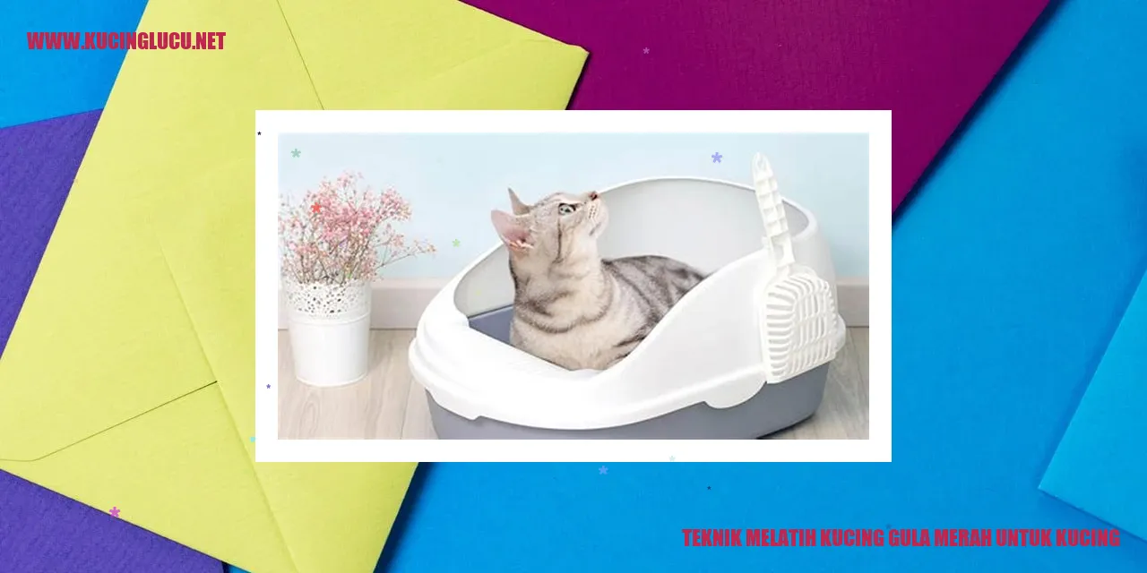 Gambar kucing gula merah