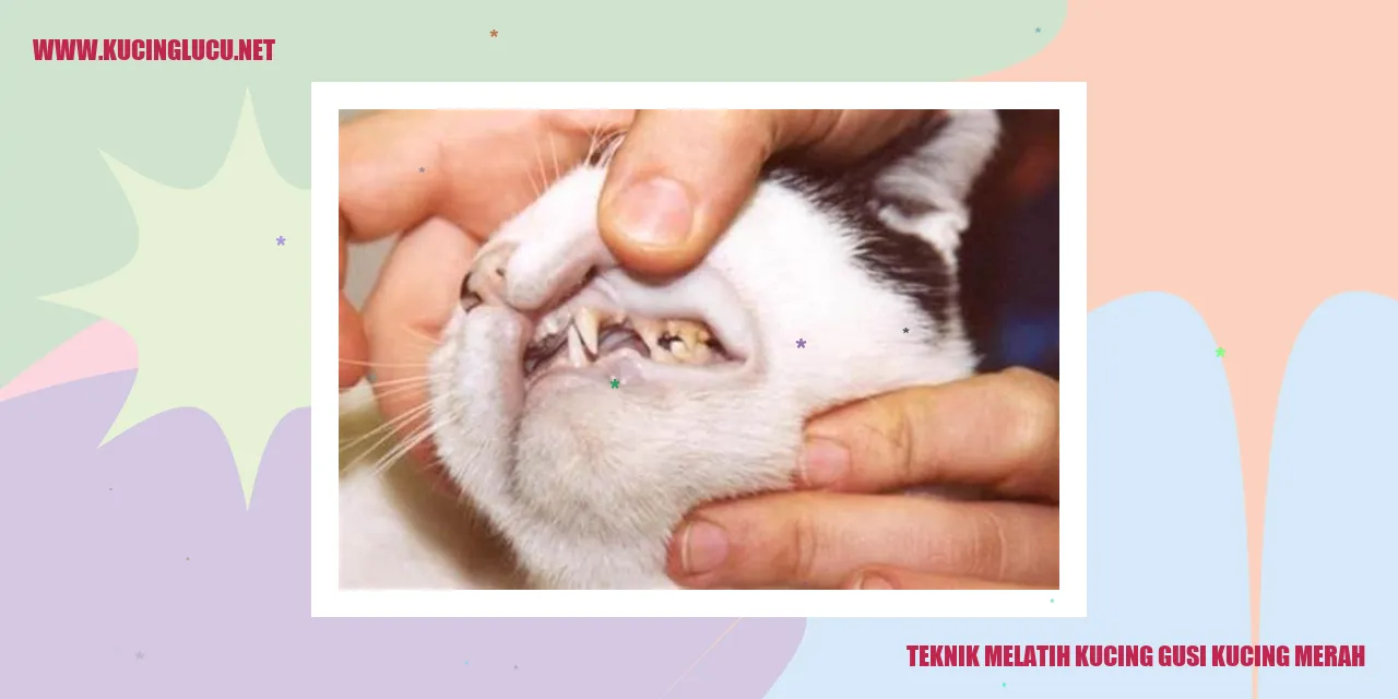 Gambar Kucing Merah