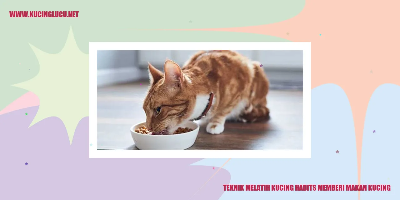 Kucing yang diberikan makan oleh pemiliknya