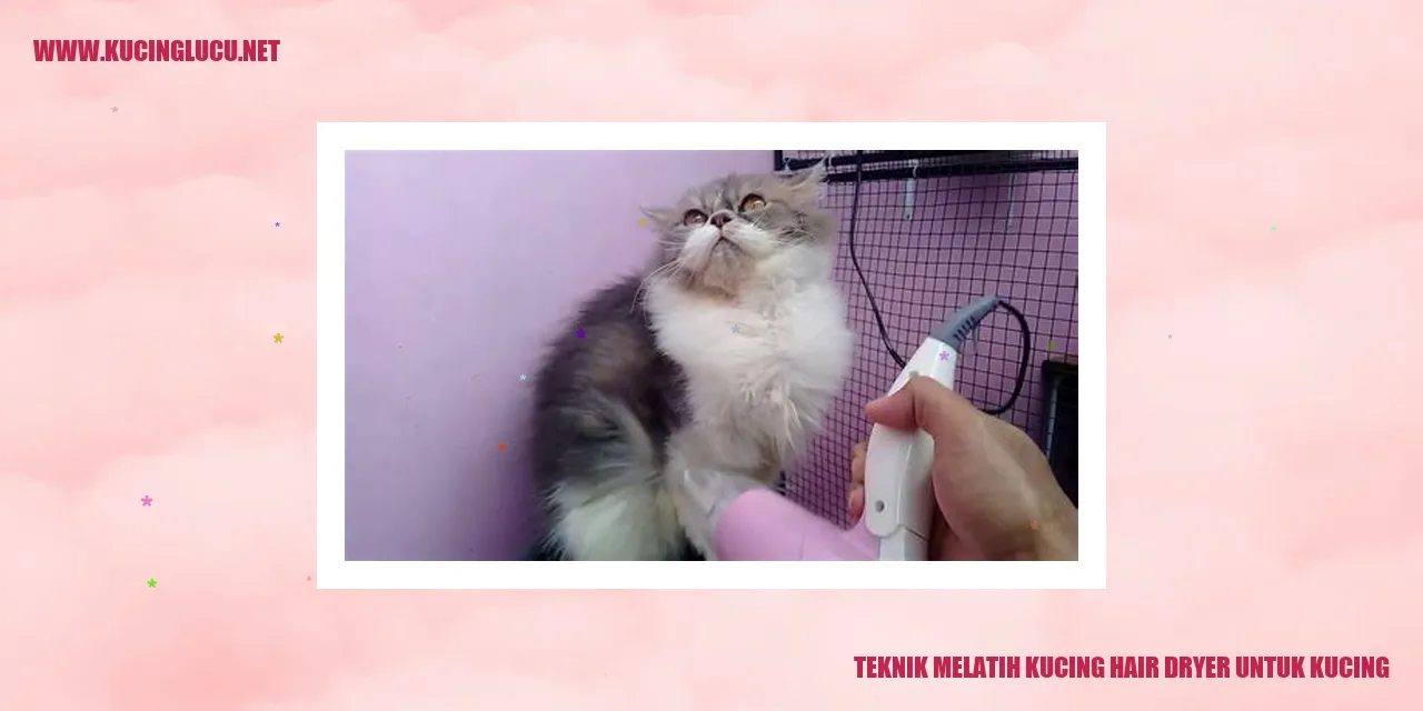 Ilustrasi Kucing Menggunakan Hair Dryer