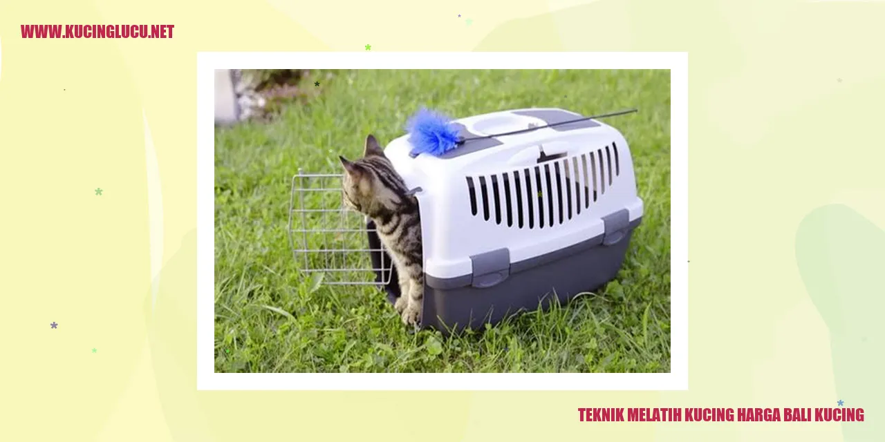 Gambar kucing menggemaskan