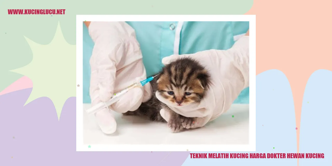 Ilustrasi Kucing