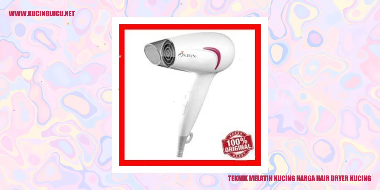 Teknik Melatih Kucing harga hair dryer kucing