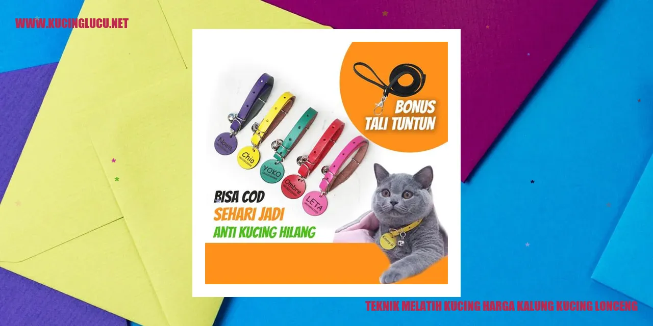 Kalung kucing dengan lonceng