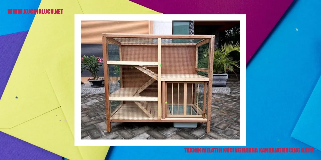 Teknik Melatih Kucing