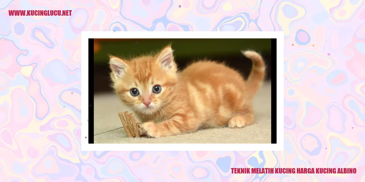 Kucing Albino