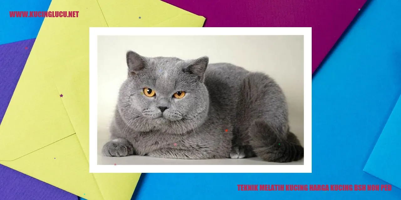 Gambar Kucing