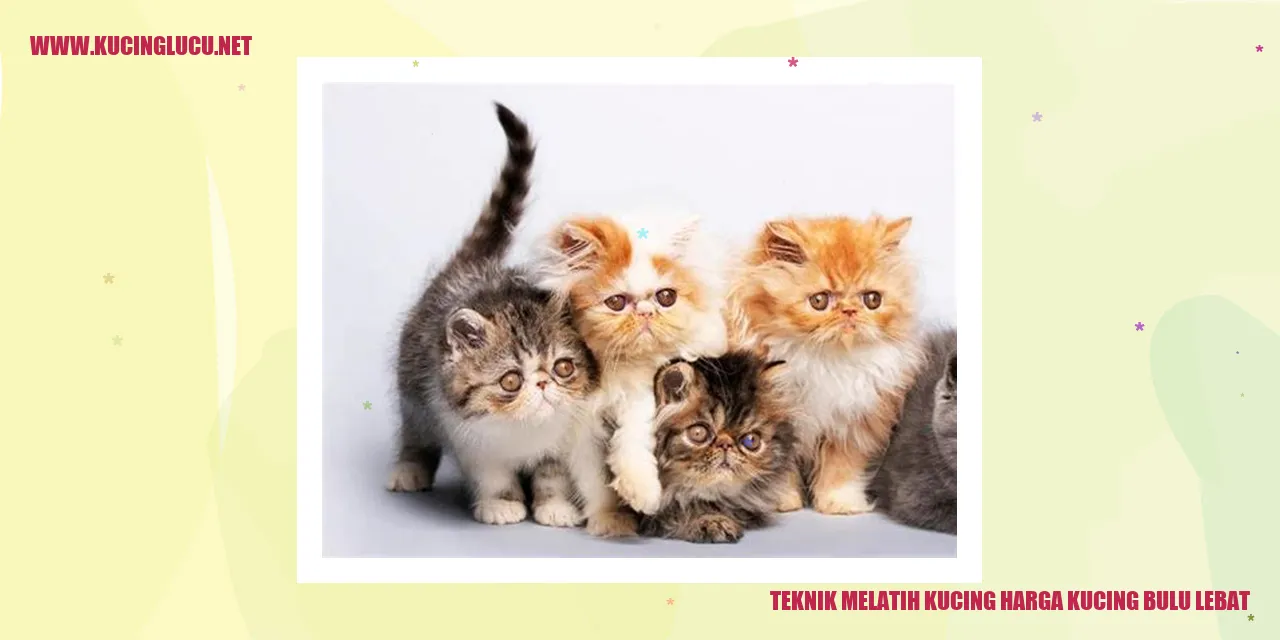 Ilustrasi kucing bulu lebat
