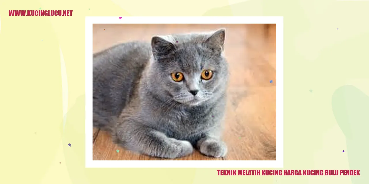 Kucing bulu pendek