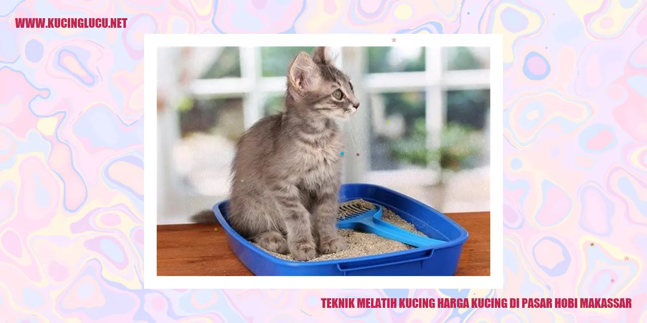 Foto Kucing