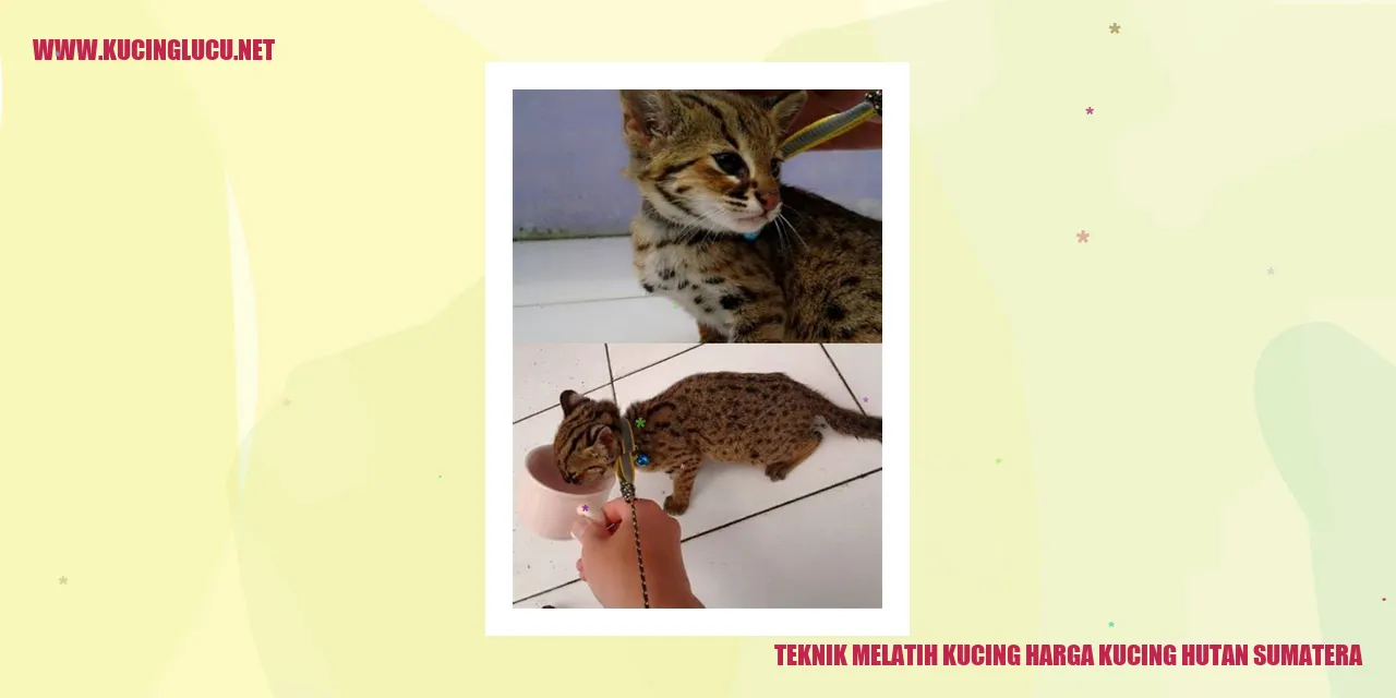 Gambar Kucing Hutan Sumatera