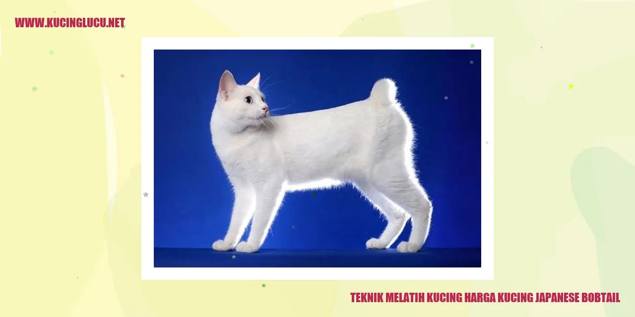 Kucing Japanese Bobtail